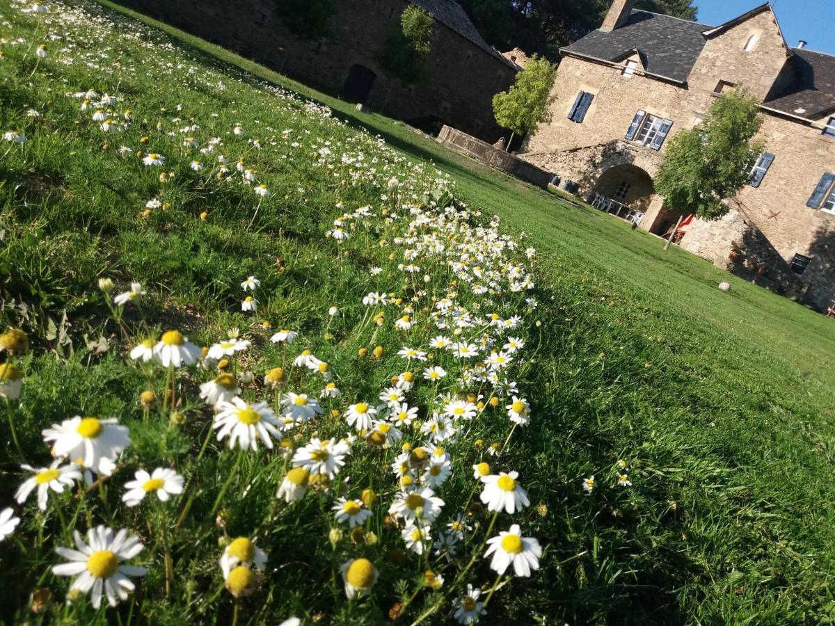 Domaine D'Angel-Berg Hotel Vezins-de-Levezou ภายนอก รูปภาพ